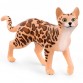 Schleich 13918, Bengal kat