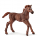 Schleich 13857, English Thoroughbred føl