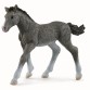 Schleich 13758, Trakehner føl